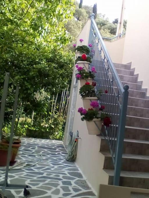 Elen'S House Apartment Sívota Екстериор снимка